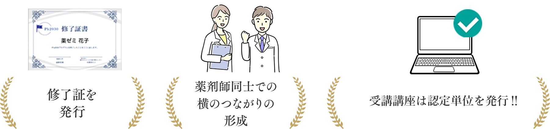 Ph2030プログラムの特典